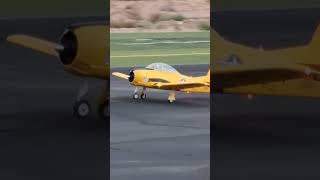 EFLITE T28 TROJAN SCALE TAKEOFF RC [upl. by Kila]