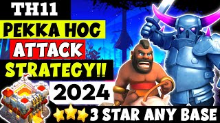 TH11 Pekka Hog Attack Strategy 2024  Best Th11 Attack Strategy Clash of Clans [upl. by Yemane]