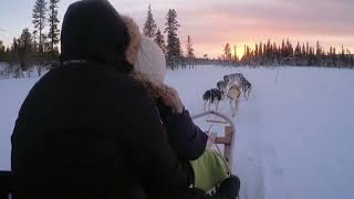 Auf HuskyTour in Norwegen und Lappland [upl. by Eirrehs751]