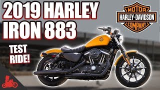 2019 HarleyDavidson Iron 883 TEST RIDE [upl. by Soma561]