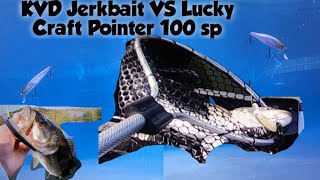 Strike King KVD Jerkbait vs Lucky Craft Pointer 100 [upl. by Regine]