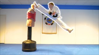 Taekwondo Training on the BOB XL  Martial Arts Kicking Sampler  Ginger Ninja Trickster [upl. by Tirza]