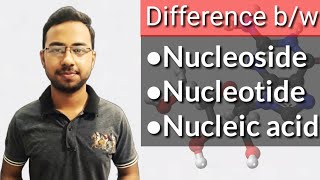 Nucleosides nucleotides and nucleic acids in hindi  biomolecules nucleic acids  DNA [upl. by Suzy834]