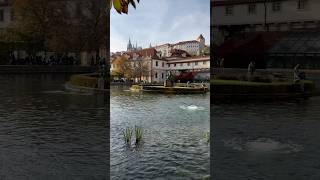 Wallenstein Garden I Prague Czech Republic 🇨🇿 I 2024 short europe travel prague [upl. by Reger]