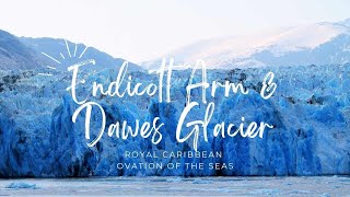 Royal Caribbean Ovation of the Seas Dawes Glacier amp Endicott Arm Catamaran Excursion [upl. by Acker]