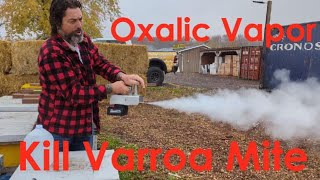 InstantVap Oxalic Acid Vaporizer Unboxing and How To Use [upl. by Blondy]