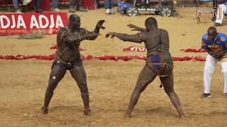 Combat Balla Gaye 2 vs Tapha Tine  reportage Lamine Seck Tapha Gueye Palla et Mansour Diop [upl. by Eniad]