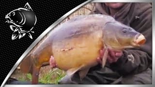 CARP FISHING VIDEOS NASH TV  RAW ALAN AND TOM GO TO LINFORD LAKES  NASH TACKLE [upl. by Anilag]