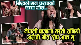 नेपाली बाजामा यस्तो सुनियो अंग्रेजी गीत ‘शेप अफ यु’ ll Ed Sheeran  Shape Of You  Cover  ll [upl. by Htinek]