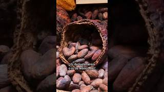 Orgullo nacional el cacao es mexicano Disfruta de Sabores Sonoros presentado por SantanderMex [upl. by Milty]