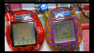 Tamagotchi Connection v45 Day 1 [upl. by Eiznek681]