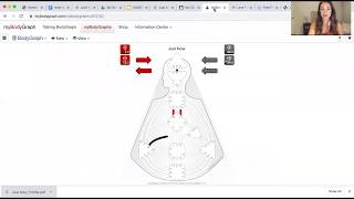 HUMAN DESIGN BASICS INCARNATION CROSS EXPLAINED [upl. by Jelene]