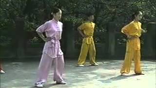 wushu basic training English [upl. by Ellerahc858]