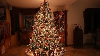 Building the Most Beautiful Christmas Tree Time Lapse [upl. by Clarisa]