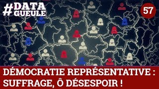 Démocratie représentative  suffrage Ô désespoir  DATAGUEULE 57 [upl. by Burrus156]