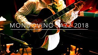 Dirk Van der Linden Trio  MONDOVINO JAZZ 2018 [upl. by Hyland503]