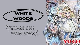 YuGiOh White Woods Combos 2024 Post Infinite Forbidden  Light Spellcaster Post INFO [upl. by Elocon943]