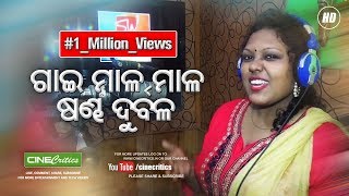 Gai Mala Mala Sandha Durbala  Studio Version  Itishree Mitu  Manas Kumar Music  CineCritics [upl. by Ahmar]