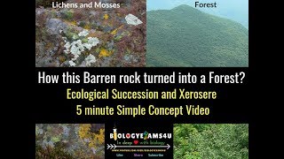 What is Ecological Succession Steps in Xerosere succession [upl. by Sorilda]