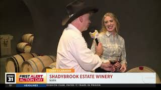 Taking a tour of the wine cave at Shadybrook Estate Winery in Napa [upl. by Vicki]