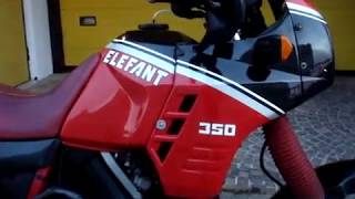 CAGIVA ELEFANT 350 1988 by ZANIMOTOR [upl. by Han]