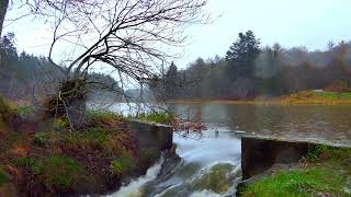 Rushing water and rain by the lake nature asmr meditation [upl. by Gibert]