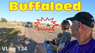 SNEAK ATTACK Invasion of the Prairie dogs and Ditches HDT RV Life Fulltime Lifestyle RV Couple [upl. by Atnuhs320]