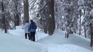 Snow shoes walking in La Berra Fribourg Switzerland [upl. by Acissaj]