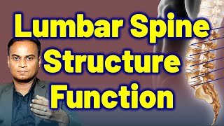 Structure amp Function of Lumbar Spine related to Lumbar Spindylosis Low Back Pain Treatment amp Cure [upl. by Iron251]