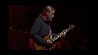 Phish with Derek Trucks  First Tube Saratoga Springs 82623 phish derektrucks [upl. by Dianna360]