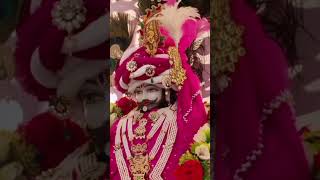 Jis ki Kalai tham li usko kesa dar 🙏🌹🌹🌹🥰🥰shyam bhajankhatushyam bhakti song [upl. by Senhauser179]