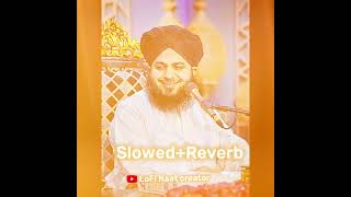 Aaye kas madin e mein Aa jaye Peer ajmal Raza Qadri And mufti Salma Azhari LoFI Slowed reverb ❤️🥹 [upl. by Atthia]