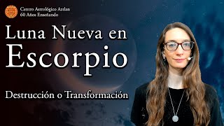 Destrucción o Transformación Luna Nueva en Escorpio [upl. by Kcuhc]