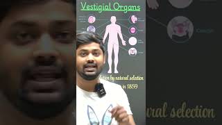 VESTIGIAL ORGANS  PART 1  ytshorts shorts science physics olympiad funny [upl. by Horatia192]