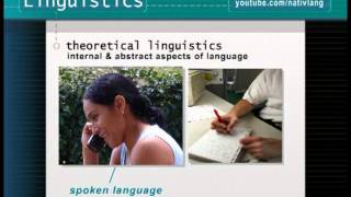 What is linguistics How do linguists study language  Linguistics 101 [upl. by Lamok]