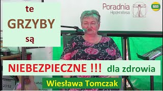 GRZYBICA  GRZYBY jak je skutecznie usunąć z organizmu Wiesława Tomczak WAGNERÓWKA [upl. by Ora275]