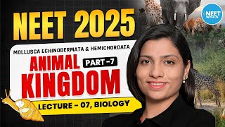 NEET 2025  Animal Kingdom  Mollusca Echinodermata amp Hemichordata  Part 07  By Ritu Maam [upl. by Llehsyar468]