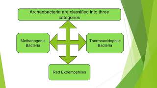 Archaebacteria and its Details  Extremophilic Bacteria  Microbiology with Sumi [upl. by Aliuqehs199]