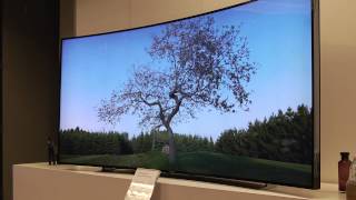 CES 2014 Samsung bendable OLED TV 105inch 219 Curved LED TV and more [upl. by Bachman576]