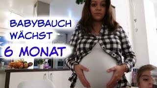 BABYBAUCH WÄCHST  ENDLICH HALBZEIT  Vlog669 Rosislife [upl. by Bluefield]