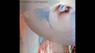 Liquid Insects  Amorphous Androgynous Future Sound of London [upl. by Oakman]