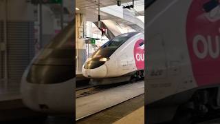 HILARIOUS AND UNIQUE FAKE HORN SOUND OF TGV OUIGO TRAIN IN MADRID SPAIN SHORT shorts viralvideo [upl. by Ahsimat37]