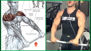 8 Shoulders Workout 8 Ejercicios para Hombros  Fitness Body [upl. by Assiled]