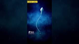 Baby Conceive Tips baby pregnancy conceive viralshort pregnant [upl. by Aicelaf624]