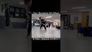 Tozi Berimbolo Hip Wheel또지패스 베림보로 허리돌리기  Nogi Sparring [upl. by Nylevol863]