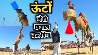 ऊंट के ऐसे करतब जिंदगी में नहीं देखे होंगे  Camel Dance  Bikaner Camel festival 2023 [upl. by Grayce]