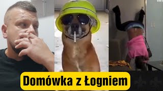 Ale Zamisanie 🥵 Podpolono Domówka [upl. by Enayr]