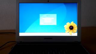 Linux on ARM Chromebook xf86videoarmsoc vs xf86videofbdev [upl. by Nawak]