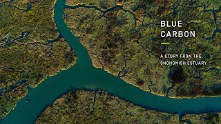 Blue Carbon – A Story from the Snohomish Estuary [upl. by Blaze]