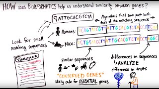 What is Bioinformatics [upl. by Airdnaed]